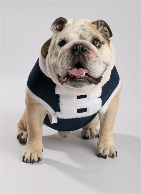 The Butler Dog Mascot: An Inspirational Figure for Future Generations